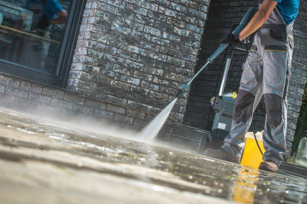 Best Roof Washing  in Pittsboro, IN